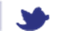 twitter icon